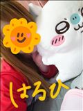 。◯  ドタバタ  ◯  。