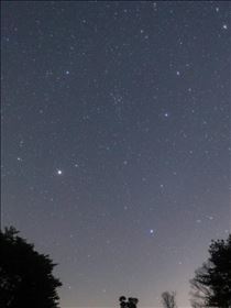 はるひ・。◯  満天の星空  ◯  。