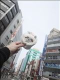 。◯  愛してくれて…ありがとう！！！ ◯  。