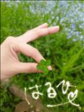 。◯  幸運  ◯  。