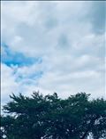 こんばんは( ・∇・)