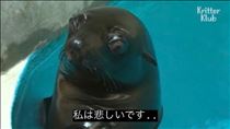 すんません！