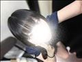 オザァス！