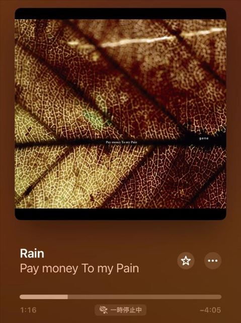 雨の日に聴きたいのは