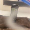 【おやすみちゅ】あしたから...