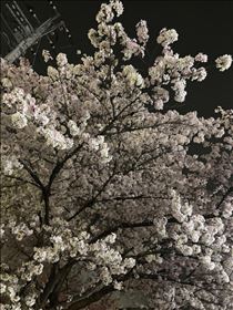いと・夜まで??