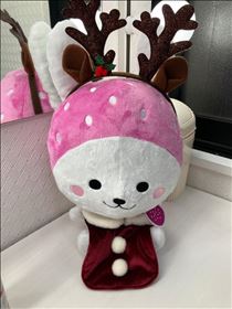 みゆ・撮ってきた！