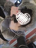 おはようございますん
