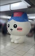 でっかいかわいいの^_^明日は出勤日です！