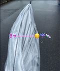 小さな事故が起きた！！笑