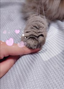 ここあ・甘えん坊?