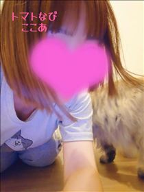 ここあ・こんばんわ?