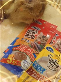 ここあ・感謝♪♪