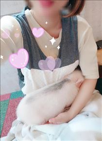 ここあ・癒される?