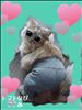 パンツ?