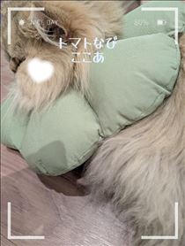 ここあ・頑張った?
