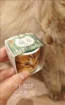 ここあ・猫草★