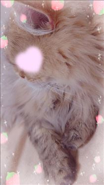 ここあ・寝起き??