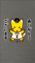 誰か分からないけどスイカの女の子?