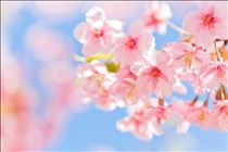 るみな・おはようございます?