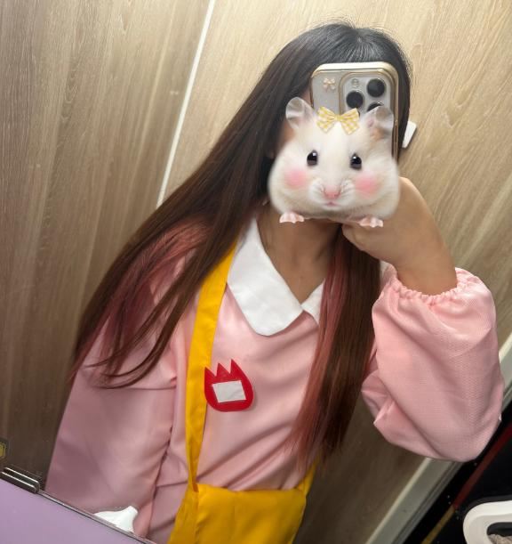 しゅ！