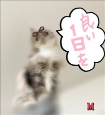 みやこ・高確率で