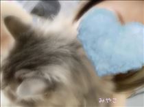 みやこ・この時期