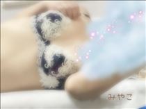 みやこ・まるふつか