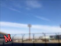 みやこ・1