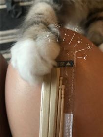 みやこ・2.22