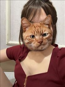 ゆめ・出勤してます