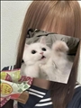 さつき