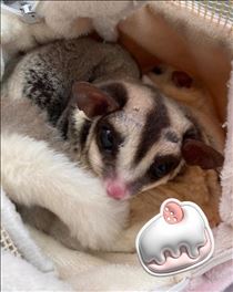 かな・雨降るみたいだけど