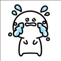 ごめんね（ ;  ; ）