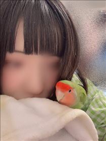 にこ・ありがと！！