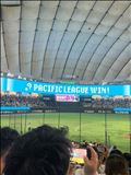 ??球祭??