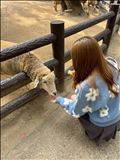 おはようございます??