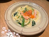 さくら・? 何派？ ?