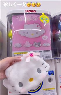 さくら・? 趣味的な ?