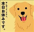 ごめんなさい🙇‍♀️