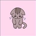 ごめんなさい?