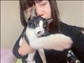 そういえば、、、