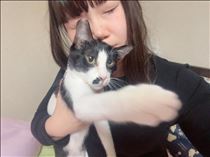そういえば、、、