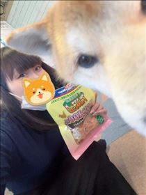 ねこ・謝謝??