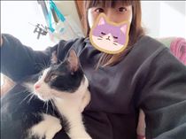 ねこ・終。