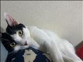 休日????
