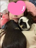 プイプイプイ～?
