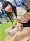 ブタへの想い?