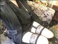 はじめまして★
