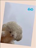 おはようございます??